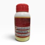 Gitanli Triphala Churn 100gm